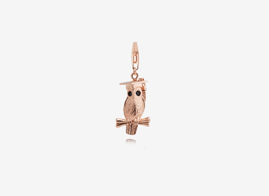 Wise Owl Charm, 18ct Rose Gold Plated Sterling Silver