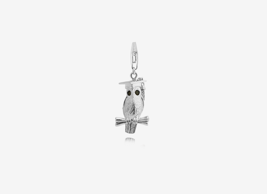 Wise Owl Charm, Sterling Silver